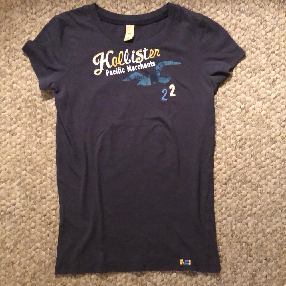 Blue Hollister tee shirt